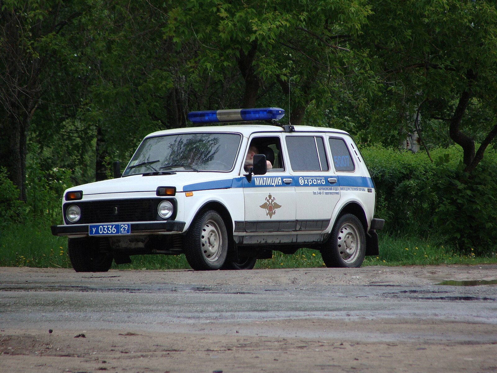 Полицейская машина в деревне