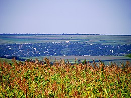 Șestaci - View