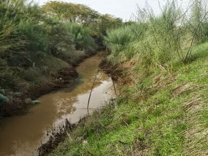 איך מגיעים באמצעות תחבורה ציבורית  לנחל שפירים? - מידע על המקום