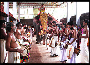 ആന: പരിണാമം, ചരിത്രത്തിൽ, ജന്തുശാസ്ത്രം