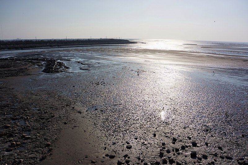 File:後港溪口 Estuary of Hougang River - panoramio.jpg