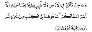 صورة مصغرة لـ الحيوانات في الإسلام