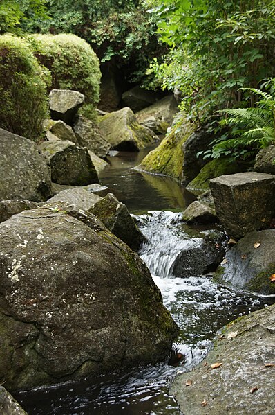 File:1270aviki Park szczytnicki. Foto Barbara Maliszewska.jpg