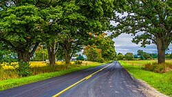 13 Mile Road in Courtland Township