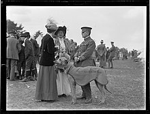 Mascot of the 16th (Waikato) Regiment 16th (Waikato) Regiment mascot and handler.jpg