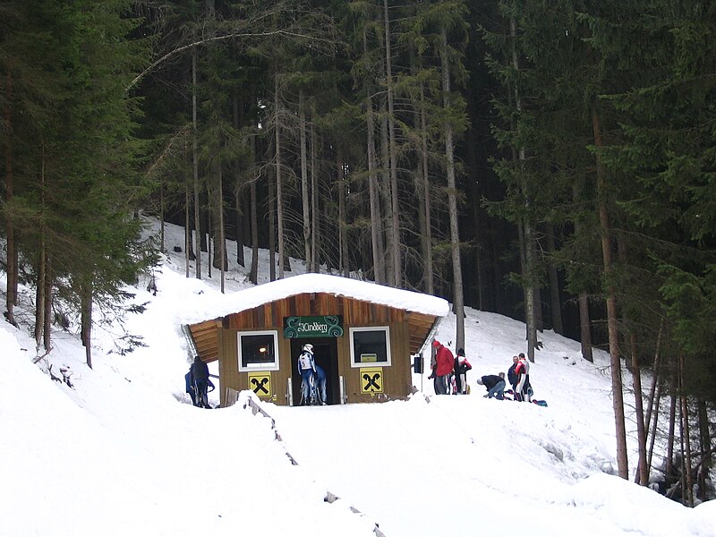 File:2005-02-20 (110) Hornschlitten-Eruopacuprennen in Kindberg, Austria.jpg