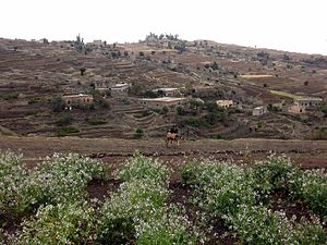 200612 Yemen-284 (354285740).jpg