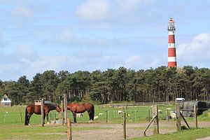 Ameland: Geographie, Orte, Geschichte