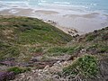 20140824 20 Newgale (15167091102).jpg