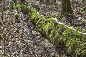 28. Platz: Derzno mit Steinerne Rinne, Düsselbach, Vorra, Nürnberger Land, geschützter Landschaftsbestandteil, LSG „Nördlicher Jura“