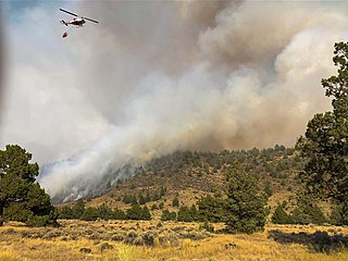 <span class="mw-page-title-main">Tucker Fire</span> 2019 wildfire in Northern California