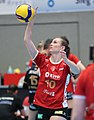 File:2021-10-23 Dresdner SC gegen SC Potsdam (Volleyball-Bundesliga der  Frauen) by Sandro Halank–088.jpg - Wikimedia Commons