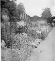 Anglické venkovské zahrady dovedou očarovat především skupinami v létě kvetoucích trvalek a letniček. Obrázek z knihy E. H. M. Coxe, The modern English garden.