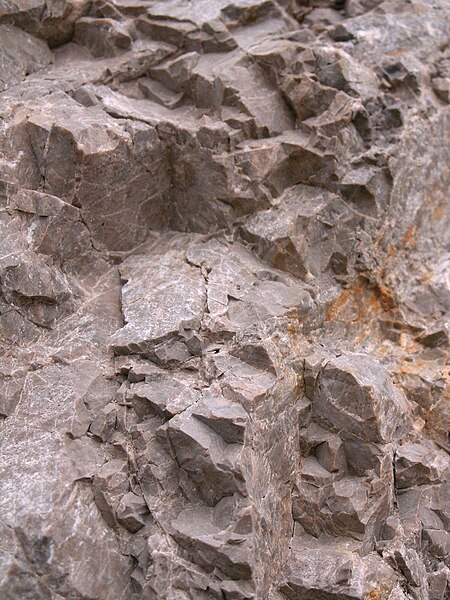 Triassic dolomitic rocks from Slovakia