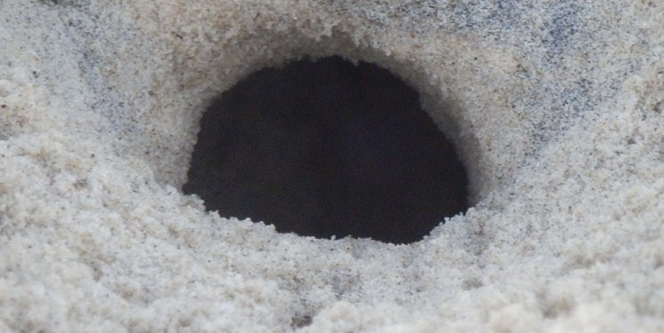 Crab hole in the sand, Seven Mile Beach, Tiona NSW