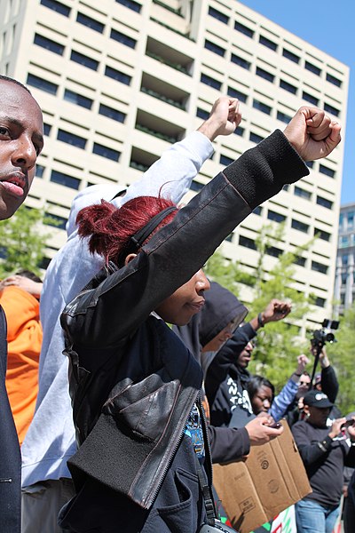 File:83.MillionHoodiesRally.FreedomPlaza.WDC.7April2012 (8517553114).jpg