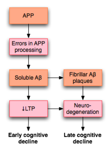 Tập_tin:APP_and_LTP_in_Alzheimer_disease.png