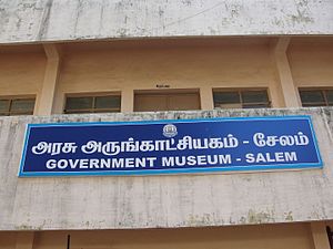 Government Museum, Salem