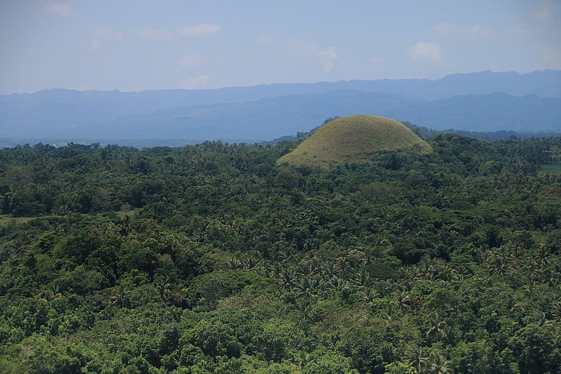 File:A lonely chocolate top at Bohol.jpg