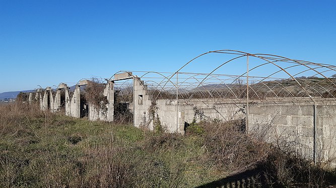 Abandoned decaying greenhouses