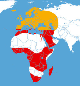 Elterjedési területe (a vörös az állandó, míg a narancssárga, csak a nyári területe)