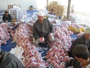 Afghanistan: Lịch sử, Địa lý, Chính phủ và chính trị