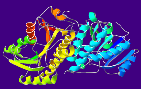 Alkoholdehydrogenáza