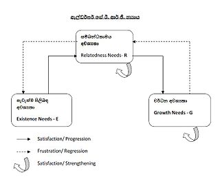 ERG theory