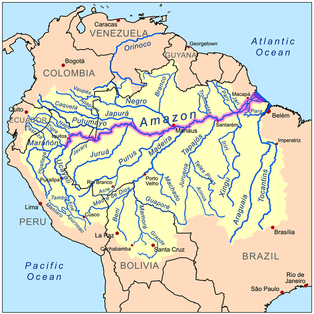 אגן הניקוז של נהר אמזונאס, במערכת הניקוז הכללית של האמזונאס