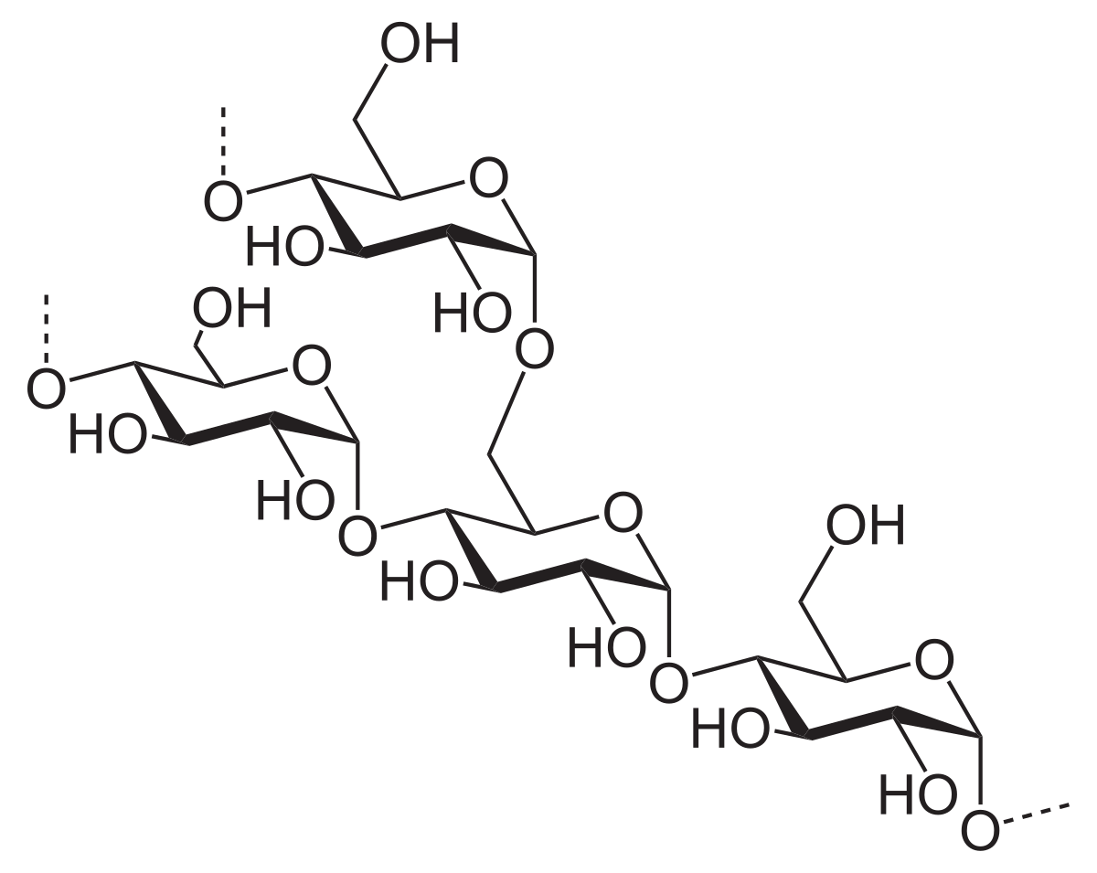 Chemical structure of starch macromolecule [37]