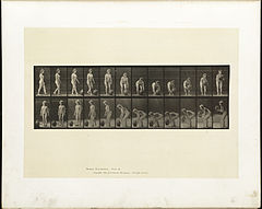 Animal locomotion. Plate 228 (Boston Public Library).jpg