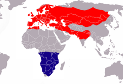 Área de distribución de Apus apus En vermello: área de cría En azul: área de invernada