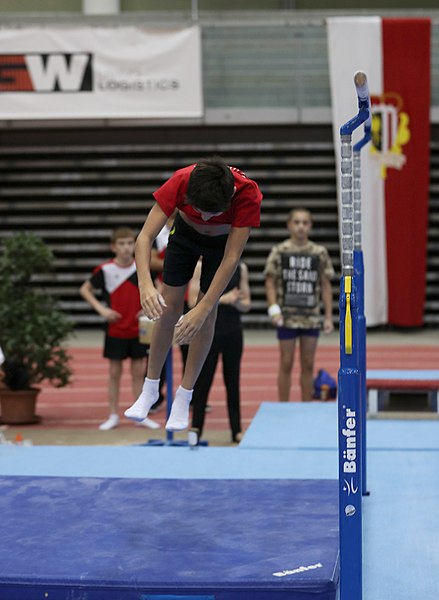 File:Austrian Future Cup 2018-11-23 Training Afternoon Parallel bars (Martin Rulsch) 0039.jpg