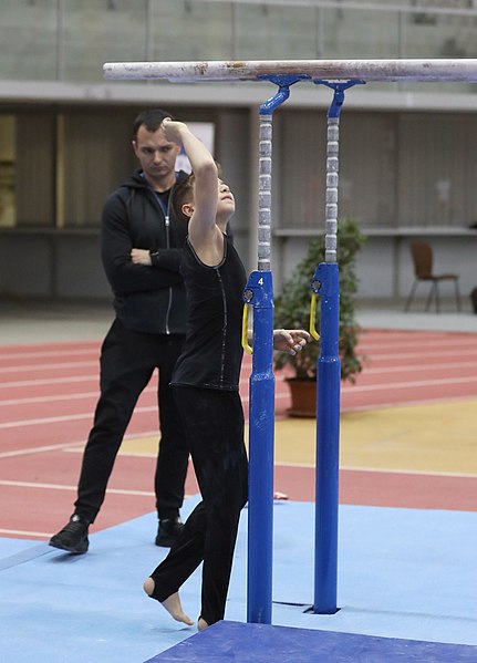 File:Austrian Future Cup 2018-11-23 Training Afternoon Parallel bars (Martin Rulsch) 0173.jpg