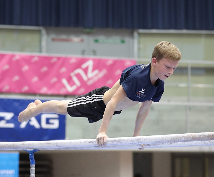 File:Austrian Future Cup 2018-11-23 Training Afternoon Parallel bars (Martin Rulsch) 0285.jpg