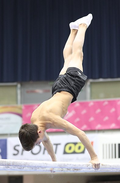 File:Austrian Future Cup 2018-11-23 Training Afternoon Parallel bars (Martin Rulsch) 0660.jpg