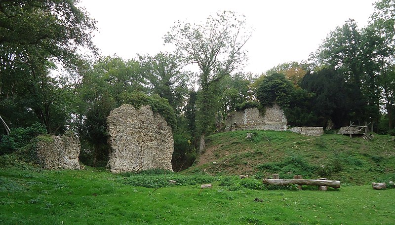 File:Avrilly - Motte Castrale.jpg