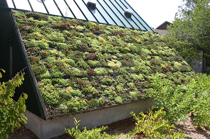 File:Awesome Green Roof.jpg