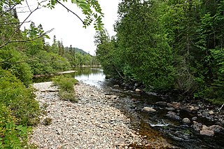 <span class="mw-page-title-main">Baldhead River (Ontario)</span> River in Ontario, Canada