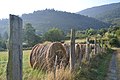 Landwirtschaft bei Fenouillet