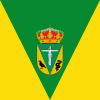 Bandeira de San Vicente de Arévalo