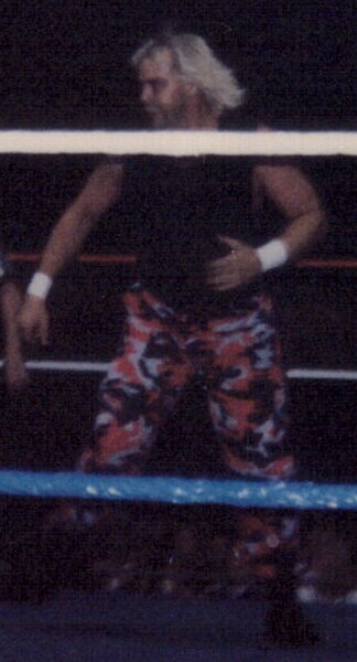 Windham as "The Stalker" in the WWF, 1996