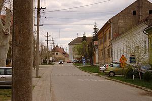Bela Crkva street