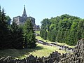 image=https://commons.wikimedia.org/wiki/File:Bergpark_Wilhelmshöhe_-_Baum_395b_2019-06-30.JPG