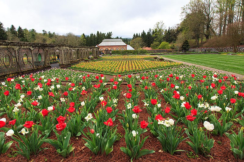 File:Biltmore Estates - Tulip Garden - panoramio (1).jpg