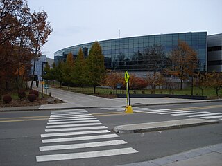 Binghamton University School of Management