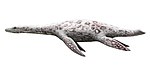 Bishanopliosaurus