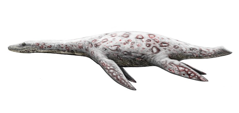 File:Bishanopliosaurus.jpg