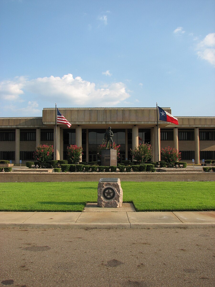 Bowie County page banner