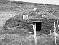 Brødrene Stalls sauegamme i Klubben i Vadsø i 1952